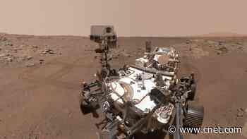 NASA Mars Rover Delivers Triumphant First Photos From Crater Rim