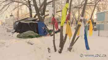 Number of homeless people counted in Saskatoon nearly triples
