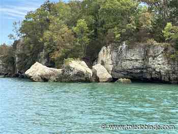 Environmental groups ask judge to accept them as co-plaintiffs in major Lake Erie case
