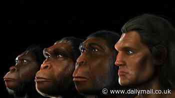 Scientists discover major technological breakthrough happened 900,000 years ago