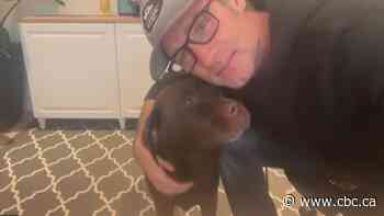 'Home sweet home': Dog taken in alleged carjacking found safe after rough 24 hours