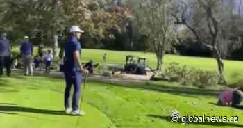 Man charged with assault in Burnaby golf club attack appears in court