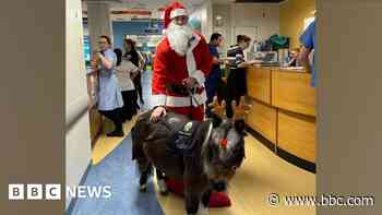 Headlines: Fake perfume warning and pony visits