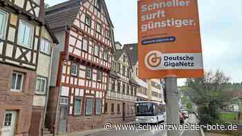 Gesamt-Quote noch immer nicht erreicht: Wie sicher ist der Glasfaser-Ausbau in Calw?