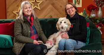 Popular Channel 4 show is looking for Bournemouth residents to apply