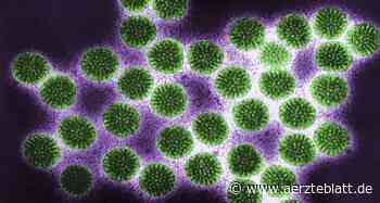 Rotaviren: Lebendimpfstoff auf Intensivstationen sicher