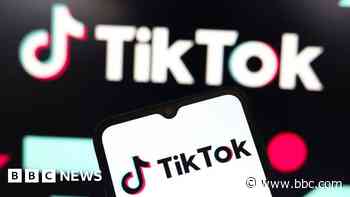 TikTok asks for emergency pause to looming US ban