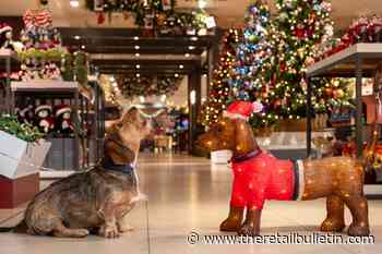 Waitrose reports boom in seasonal spending on pets this Christmas