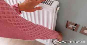 Energy expert urges Brits to 'maximise' radiator heat with simple cost-free method