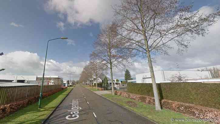 Rij bomen dood na doelbewuste vergiftiging: 'Onacceptabel'