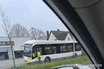 Lijnbus moet uitwijken en rijdt zich vast in berm in Tielrode: parallelweg N41 richting Sint-Niklaas tijdelijk afgesloten