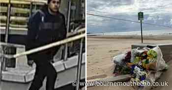 Murder accused named self 'Ninja Killer' before woman stabbed to death