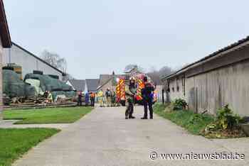 Hoop mest in koeienstal vat vuur: vlammen al gaan liggen wanneer brandweer arriveert