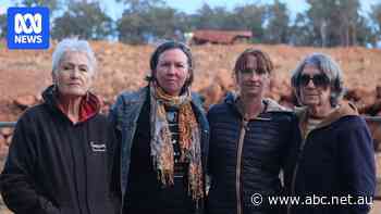 WA environment minister effectively backs bauxite mine's expansion