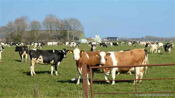 Minister geeft PAS-melders drie jaar uitstel, provincie wil meer zekerheid