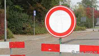 Noodreparatie aan Witte Brug in Den Ilp
