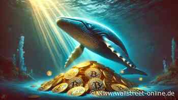 Laut Krypto-Experte: Bitcoin: "Ein Rückgang von 20 bis 30 Prozent ist keine Seltenheit!"