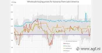 Bananenprijzen in Polen stijgen van €101 naar €113