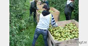 Goed werkgeverschap in de praktijk