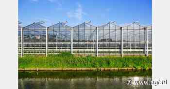 Stemming glastuinder iets beter