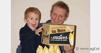 Witlofbox als didactisch materiaal