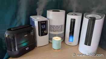 Best Humidifiers of 2024