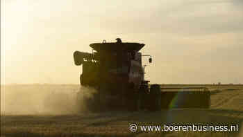 Argentijnse tarweoogst lijkt veelbelovend