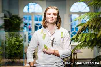 Bioloog Wietse Chanet over wandelende takken en bladeren op expo in Arboretum: “Ideale huisdieren voor jonge kinderen”