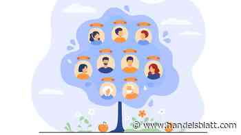 Erbfolge: Wie sieht die gesetzliche Erbfolge aus?