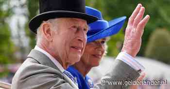 Buckingham Palace onderzoekt incident met gewelddadige medewerker in bar: ‘Strenge procedure’