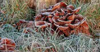 Kurzes Winter-Comeback in Hannover: Bis -3 Grad in der Nacht zu Samstag