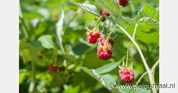 Provincie Vlaams-Brabant sluit Provinciaal Plattelandscentrum Peerenbosch