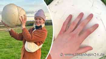 „Doppelt so groß wie mein Kopf“: Junge Frau entdeckt gigantischen Pilz – Familie ernährt sich tagelang davon