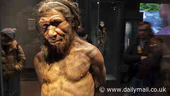 Neanderthals and humans mated more recently than we thought! Ancient species interbred with our ancestors within the past 50,000 years, study finds - rewriting the story of our evolution