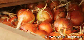 Uienmarkt is een vat vol  tegenstrijdigheden