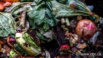 Winnipeg's compost drop-off program 'incredibly successful', tripling expected totals