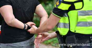 Rijksrecherche: politie had geen schuld aan overlijden man (46) in Wijchen, afgelopen zomer