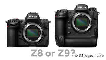 Why I Choose the Nikon Z9 Over the Z8 for Video