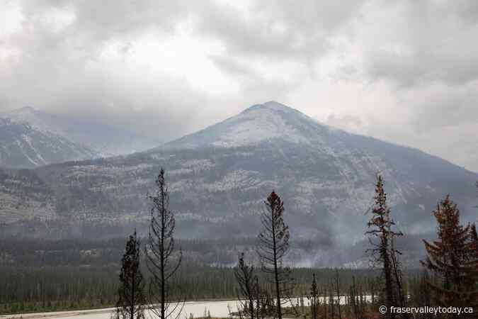U.S. study links Canadian wildfire smoke to doctor visit spike in Baltimore