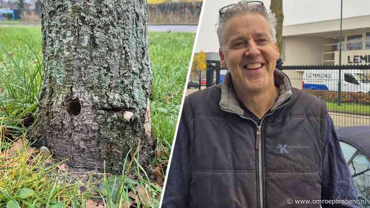 Vergiftigde bomen: 'Niet rouwig om, maar dit is overdreven en lef hebben'