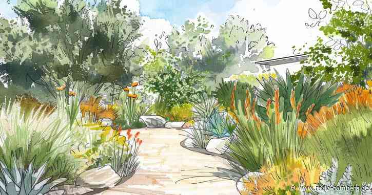 Neuer Lebensraum für Pflanzen und Insekten in Bamberg