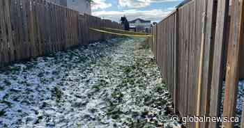 Ontario man charged with 2nd-degree murder in brother’s death