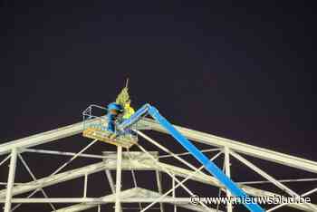 Meiboom geplant op nieuwe overslaghal Ivarem: “Via spoor halen we duizend vrachtwagens van de weg”