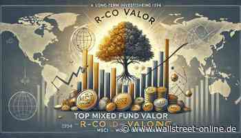 Langfristiger Vermögensaufbau: MSCI-World-, S&P 500- & DAX-Outperformer: 1 Mischfonds mit 2.227 % Performance