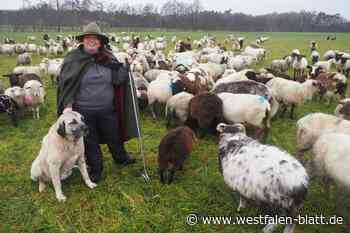Schafe und Schutzhunde – eine wetterfeste „Familie“