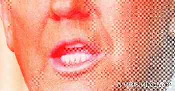 Some Educated Guesses About Trump’s Second Term