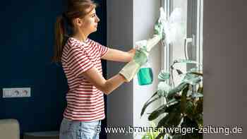 Fast alle arbeiten schwarz: Milliardenumsätze bei Haushaltshilfen