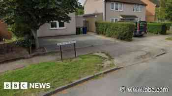 Woman dies after 'accidental' flat fire