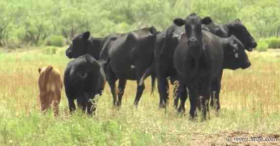 New Mexico ranchers speak on how new meat inspection act will impact their industry