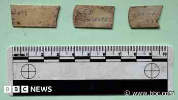 Plant pot tag among 'amazing archaeological finds'